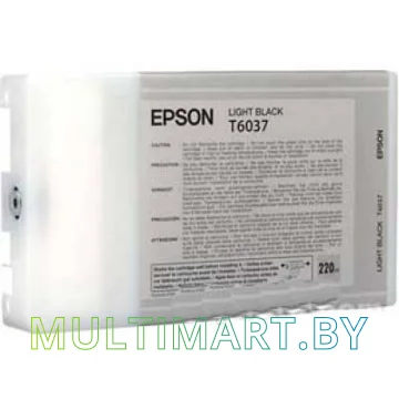 Картридж Epson C13T603700 картинка 2
